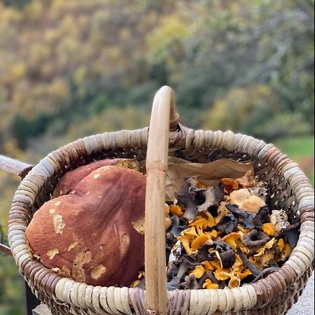 Domaine Le Verdier Saint-Michel-de-Dèze 외부 사진